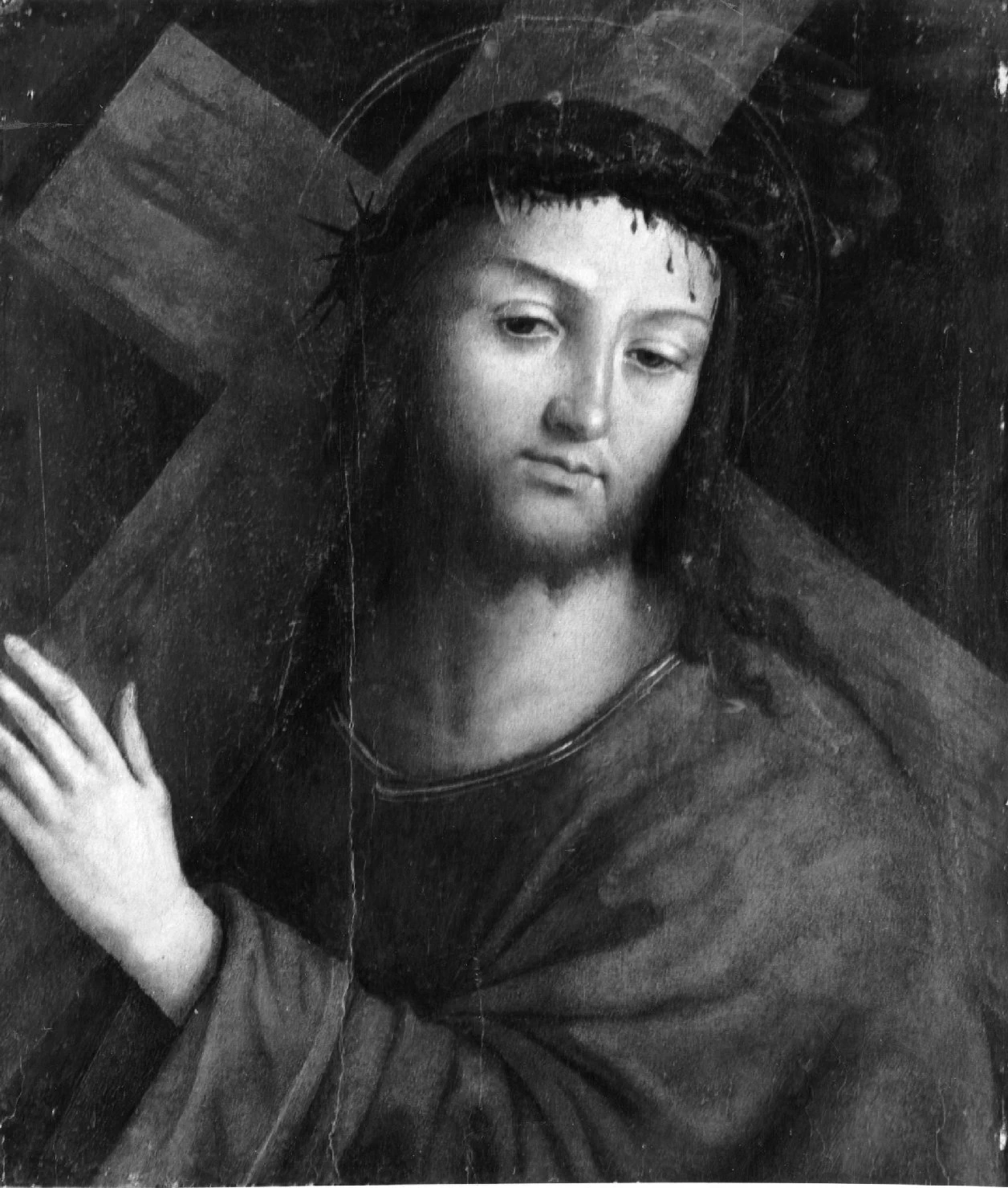 Cristo portacroce - Pinacoteca Nazionale, Ferrara, attribuito
